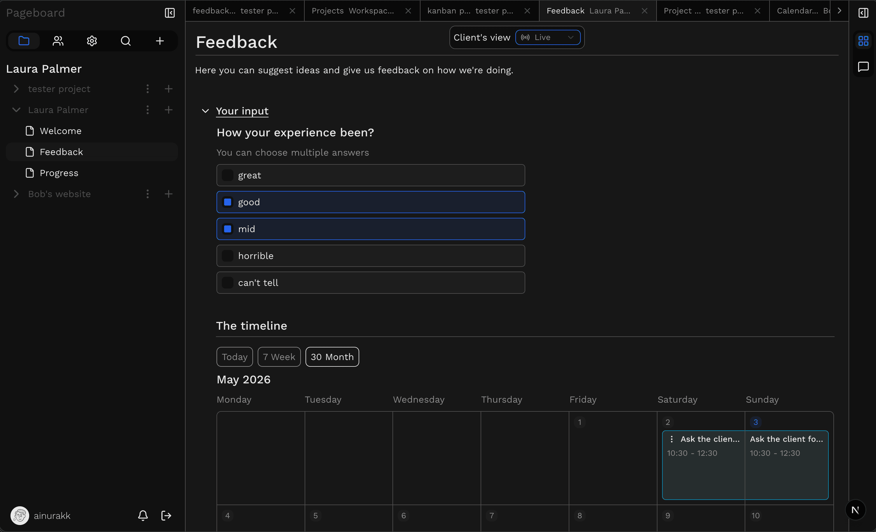 Project workspace preview