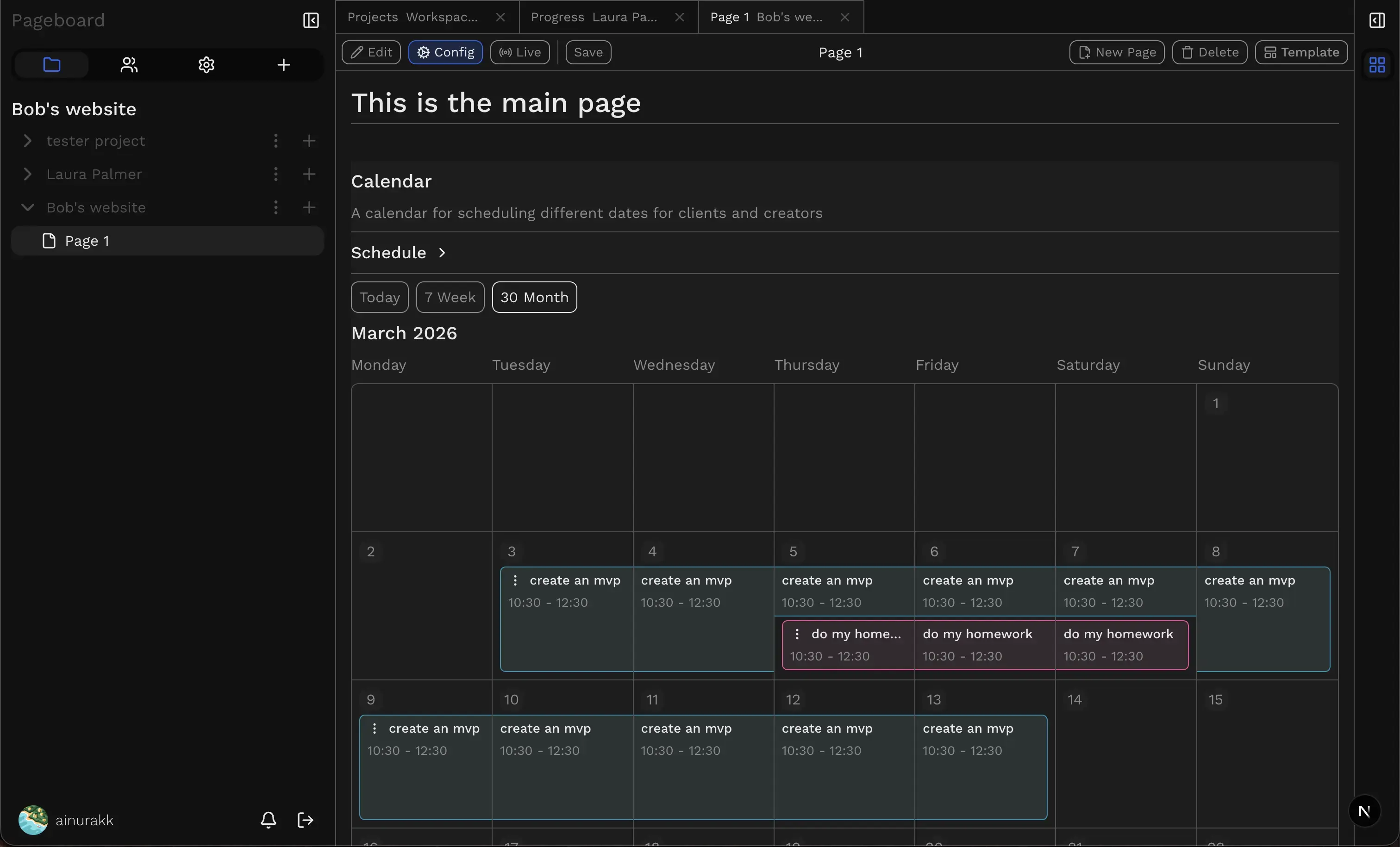 Project workspace preview